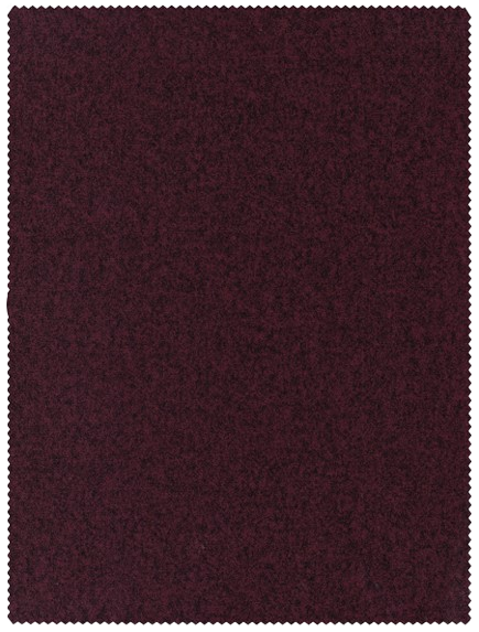 Siri 11