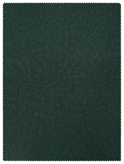 Apsara 13